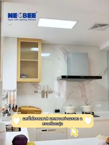 Neobee โคมไฟดาวน์ไลท์ LED สีขาว วอร์ม บางเรียบ สว่างถนอมสายตา รุ่น NB-APN