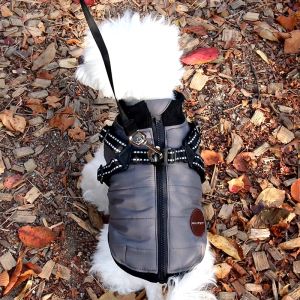 Chest Strap Traction Dog Cotton-Padded Clothes Teddy Cotton-Padded Clothes Bichon Small Size Dogs Pomeranian VIP Pet Clothes Autumn and Winter Clothes