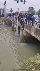 แหอวนปลา มือโยนสูง วินเทจทั้งหมด รวม Poppa แบบประมง ชุดแหอวนปลา แหอวนปลา