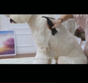 Alat Mesin Cukur Hewan Elektrik Baorun S1 -Kucing Kambing Domba Anjing dll-