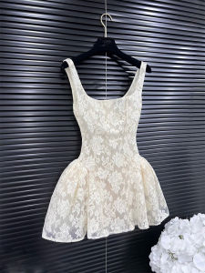 Luxurious French Lace Embroidery Party Dress