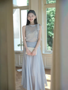 ChillCozy Elegant Woman Silken Gossamer Sleeveless Top And A-Line Mini Skirt Set Flowing And Driftless Fashionable Womens Ensemble