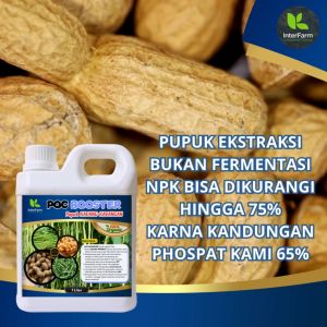 Pupuk Organik Cair InterFarm Booster Kacang Tanah untuk Pertumbuhan Banyu 1 Liter