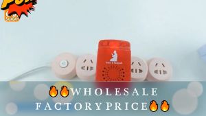 [SG SELLER]🔥🔥 FACTORY WHOLESALE PRICE🔥🔥 ZIKIR RUQYAH PLUG /PLUG ZIKIR/ZIKR & SURAH AL-QURAN/ISLAMIC GIFTS/SOVENIR/BERKAT