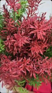 Artificial Bamboo Leaves Spray Leaf Daun Bambu Tangkai Plastik Palsu Silk Touch