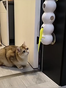 Sâu bướm cảm biến thông minh - Đồ chơi cho mèo - Tiệm Mèo Moa