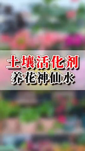 【SG Stock】Microbial Soil Activator Fertilizer 200g | Rooting Stimulator & Soil Conditioner for Garden Flower | 微生物土壤活化剂