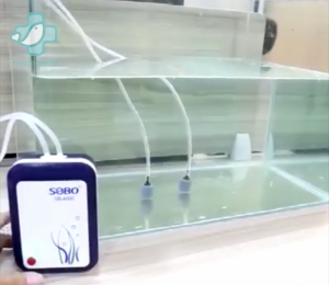 Sobo AC/DC Dual Outlets 2 Ways Aquarium Oxygen Air Pump Emergency USB Rechargeable Battery Pam Angin Bateri AC DC Caj.