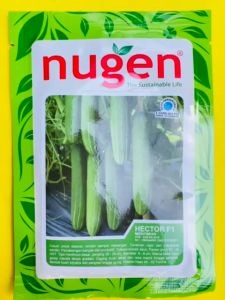 Benih Timun HECTOR F1 isi 20gram produk dari Nugen MANTAB