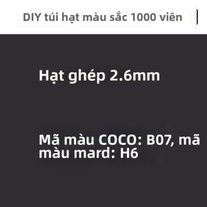Bộ DIY Hạt Sangqi Theme