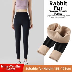 Brown Thermal Leggings for Petite Women 1