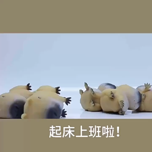 Capybara squishy toy ของเล่นความเครียดบรรเทาตลกสัตว์บีบของเล่น ของเล่นบีบคาปิปาร่า บรรเทาความเครียด บีบสกุชชี่