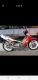 rudi krisanto_Guplax.Knalpot