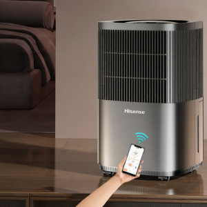 Hisense | Home Dehumidifier Dryness Moisture Absorption