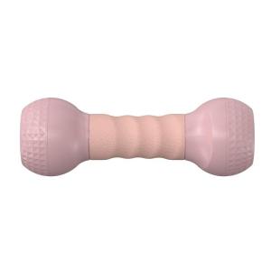 KDST | Adjustable Weight Small Dumbbells Fitness for Beginners and Children