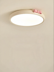 DGY | Eye-Protecting Ceiling Light for Bedroom and Childrens Study