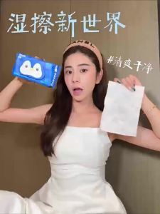 Deeyeo | Universal Wet Toilet Paper