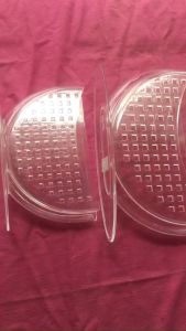 Tô nhúng bánh tráng 2 ngăn nhựa ACRILIC trong nhỏ NTB 04 - 215 x 7 x135 cm / to NBT 02 - 27.0 x 14.5 cm