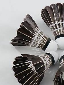 Penghantaran dari China [2025] Bulu Angsa Badminton Hitam Shuttle Tahan Lama Tidak Boleh Dipecahkan Luaran Kalis Angin 12 Hanya untuk Bola Latihan Ultra Tahan Lama Pertandingan Profesional 3.5