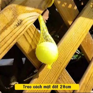 Thuốc đuổi rắn  thuốc diệt rắn dạng viên  cam kết hiệu quả 100%