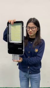 Solar-Powered Flood Lamp & 5000W Solar Street Light: A Comprehensive Guide