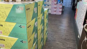 ALPHA Vannus LUNA 5B DC Motor Ceiling Fan with 5 Blades 6 Speed Remote (40"46"56") kipas 2024