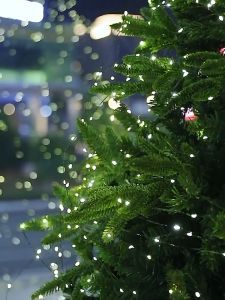 Portable Christmas Decorative Lights Christmas Tree Light String Green Wire Light String Star Light with Timer Memory Function