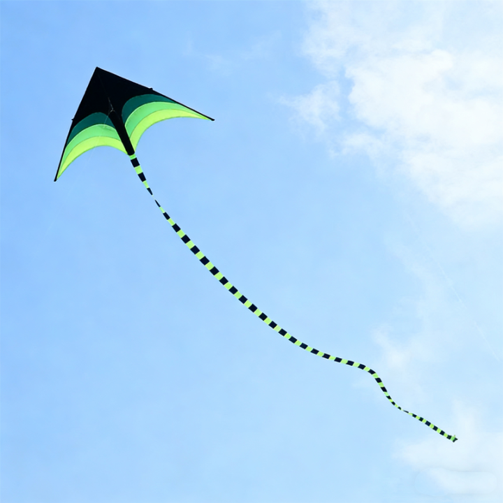 1.6m%20delta%20kites%20flying%20wind%20kites%20outdoor%20toys%20for%20children's%20flying%20deer%20sports%20beach%20professional%20kite%20octopus%20kite%20kevlar%20-%20Image%204