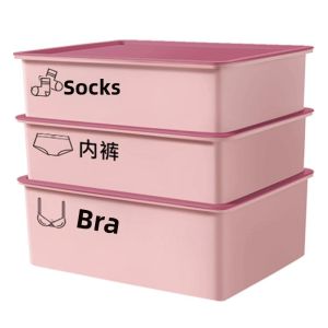 SIVASS | Hộp Lưu Trữ Quần Lót 3 Ngăn