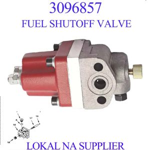 3096857 Fuel Shutoff Valve Solenoid Valve [LOCAL STOCK. SHIP IN 24HRS] for Cummins VTA28 KTA19 KTA38 KTA50