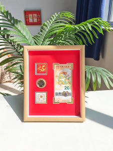 Modern Simple Snake Year Commemorative Currency Stamp Display Frame Protection Storage for Phots Coins Artwork Long Rectangle