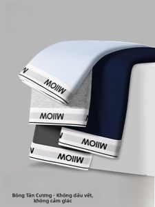 MiiOW | Quần lót nam Catman Pure Cotton 2025 Quần đùi thể thao kháng khuẩn thoáng khí cạp vừa quần đùi nam mùa hè