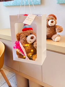 SKISOPGO Cute Cake Bear Plush Toy Plushie Doll Mothers Day Gift Birthday Valentines Day Gift Bantal Peluk小熊