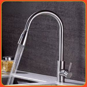 Dual Outlets Adjustable Temperature Stretchable Kitchen Faucet