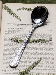 Thìa Ăn Trưa Hình Hoa Sen Tròn Bằng Thép Không Gỉ 18-10 Họa Tiết Rễ Cây Cổ Điển Phong Cách Công Chúa Eden Garden Nhà Bếp