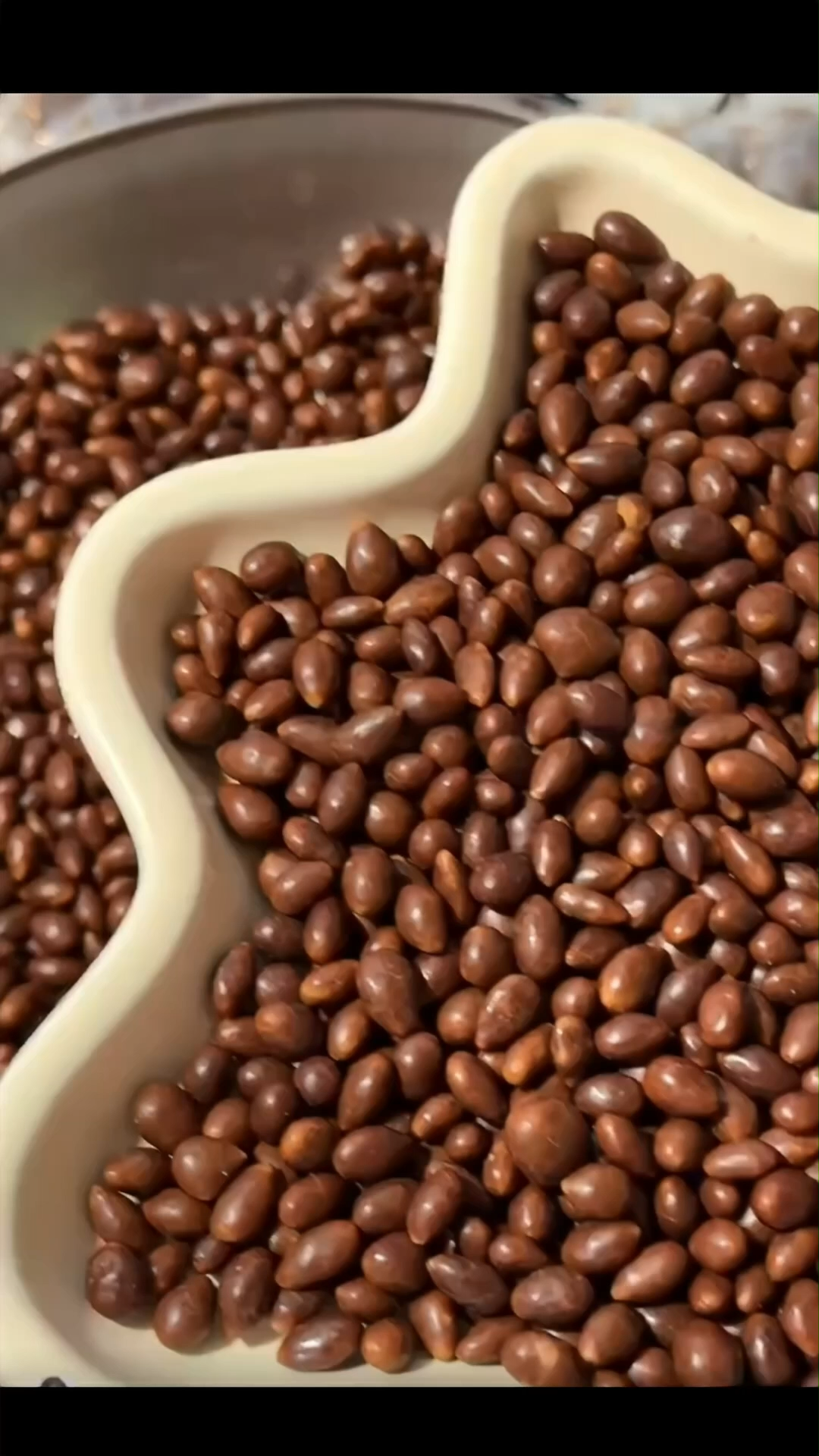 Chocolate Sunflower Seed Snacks - High-Quality Cocoa Coating Nutty Crunch Ideal for On-the-Go Indulgence