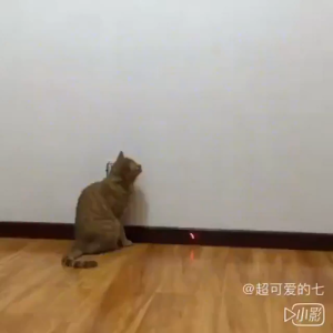 LED Laser Cat Toy Red Dot Laser Light Pointer Laser Pen Interactive Toy Cat Stick Cat Toys