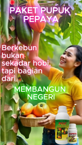 Pupuk Pepaya Agar Buah Lebat & Manis | Paket POC + ZEPETE | Atasi Rontok & Perkuat Batang Akar