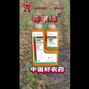 强效山青环磺酮老黄牛加硝莠玉米苗后安全除草剂禾阔双除农