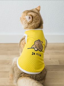 áo ba lỗ hình gấu SO NICE cho chó mèo - T3 PETS SHOP