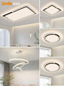 Smile | Modern Simple Ceiling Light