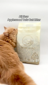 Morisan Applewood Tofu Cat Litter - Bundle of 5
