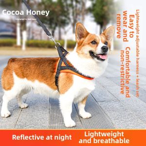 COCOA HONEY | Medium Small Dog Leash and Harness for Walking