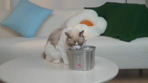 Cat Water Fountain Stainless Steel Pet Water Fountain Inside Filters&Ultra-Quiet Pump 2.2L Large Capacity Dog Pet Water Fountain