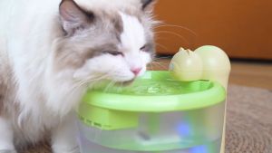 2.2L Wireless Water Dispenser Cats Smart Sensor Water Dispenser Filter Mute Water Feeder Pet Supplies