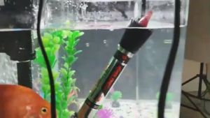 น้ำเครื่องทำน้ำอุ่นก้านเทอร์โมใต้น้ำระเบิด ปลาถังความร้อนก้านปรับควบคุมอุณหภูมิ