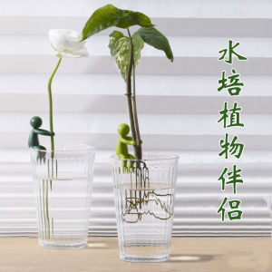 Hydroponic Plant Growth Companion Support Branch Desk Decoration Monstera Deliciosa Gardening Fixed Shape Anti-Lodging Leaf