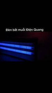 Đèn bắt muỗi lưới điện Điện Quang loại lớn máy diệt côn trùng ánh sáng thu hút ruồi muỗi và giết ruồi muỗi ĐQ EML06L KUMORI STORE