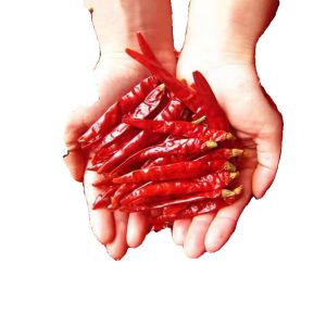 พริกแห้งเผ็ดพิเศษ 500 กรัม จาก Sichuan พริกแห้งเผ็ดพิเศษพริกหอมสีแดงสดชื่นพร้อมอาหารเช้าพร้อมปรุงรส