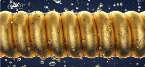 Hộp 3 Bộ Elixir Nanoweb Phosphor Bronze Acoustic Guitar Strings Dây Guitar Acoustic Cao Cấp